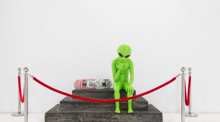 Носки "Ripndip"