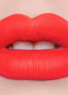 Губная помада L; Oreal (69 фото): жидкая матовая и лаковая, Rouge Caresse и Irresistible Expresso, палитра и отзывы () Губная помада L; Oreal (69 фото): жидкая матовая и лаковая, Rouge Caresse и Irresistible Expresso, палитра и отзывы