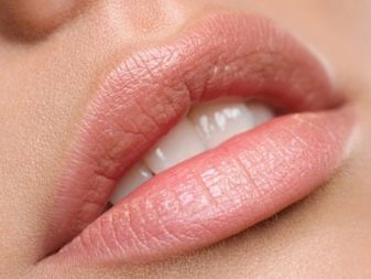 Бальзам для губ Faberlic: косметика по уходу; Похудей,; Мятный шоколад,; Вишневый конфитюр, отзывы () Бальзам для губ Faberlic: косметика по уходу; Похудей,; Мятный шоколад,; Вишневый конфитюр, отзывы