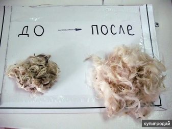 Как постирать перьевую подушку в домашних условиях? 36 фото Стирка изделия из пера в стиральной машине-автомат, как почистить пуховую и модель из лебяжьего пуха () Как постирать перьевую подушку в домашних условиях? 36 фото Стирка изделия из пера в стиральной машине-автомат, как почистить пуховую и модель из лебяжьего пуха