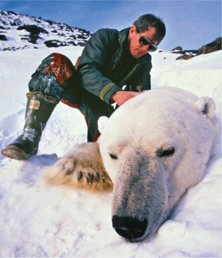 Ботинки Baffin в Арктике и в зимнем городе (23 фото) () Ботинки Baffin в Арктике и в зимнем городе (23 фото)