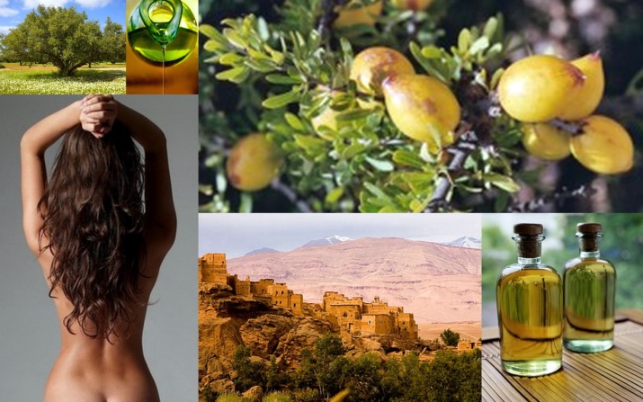 Марокканское масло для волос: отзывы о средстве Moroccanoil из Марокко () Марокканское масло для волос: отзывы о средстве Moroccanoil из Марокко